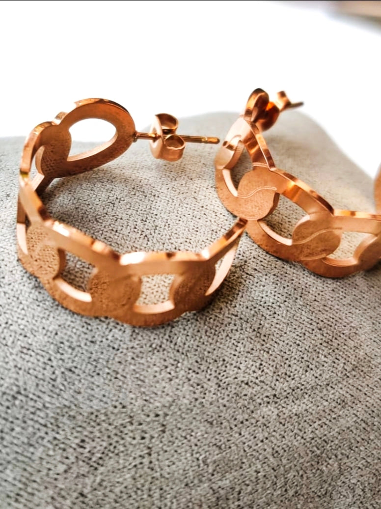 Joss Premium Anti-Tarnish Golden Stainless-Steel Earrings styled for festive wear
